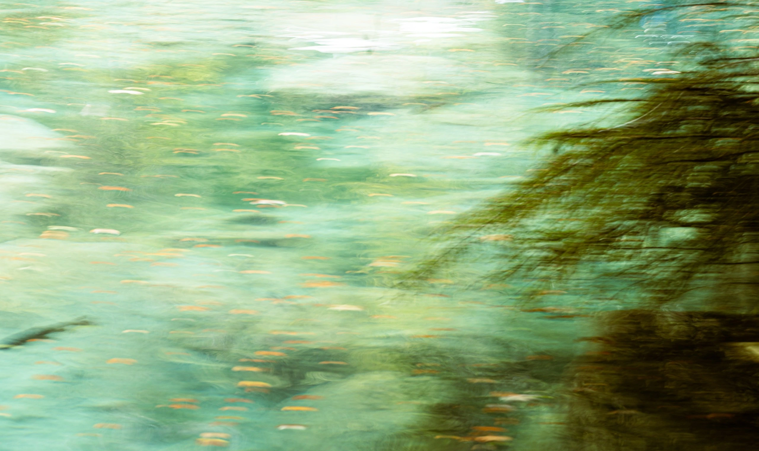 Soutien lors d'urgences psycho-spirituelles