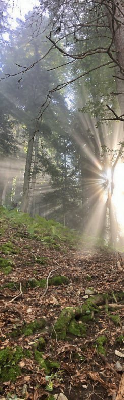 IBÚ-ILÉ · Transpersonales Breathwork & Integration