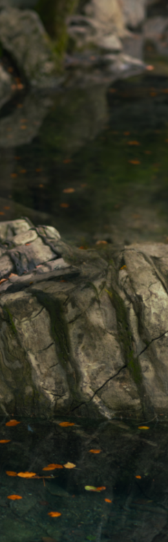 Terapia Transpersonal y de Integración