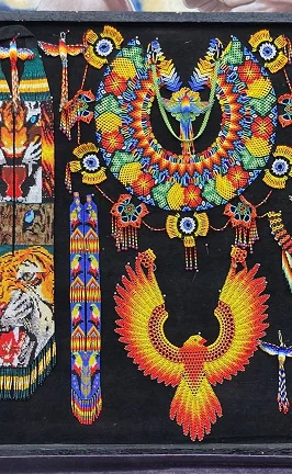 Journeys into the Amazon