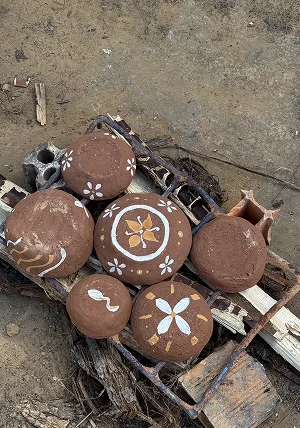 Journeys into the Amazon