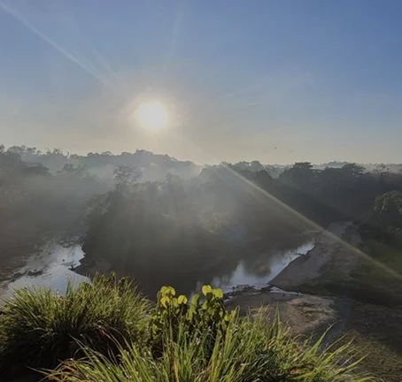 Journeys into the Amazon